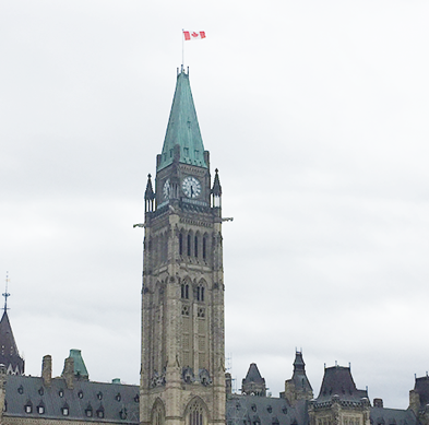 When-It-Is-About-Immigration-Trust-SGL-Immigration1